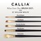 Willow Wolfe Callia Artist Watercolor Flowers Brush Set-Rounds and Filbert